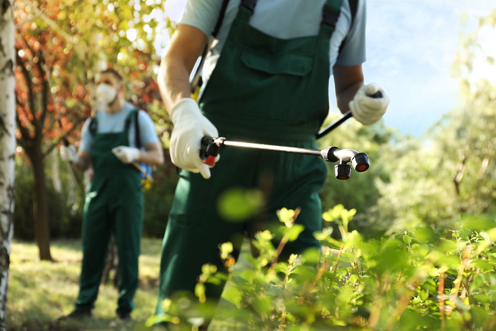 Mole Control Services Near You
