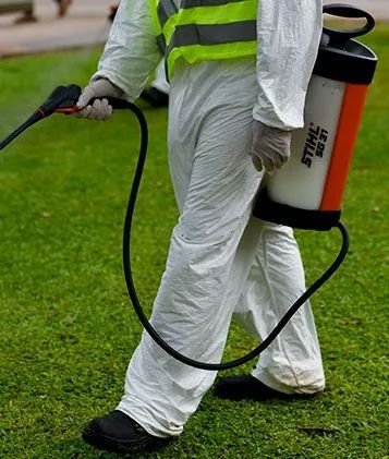 FUMIMAS FUMIGACIONES FUMIMAS FUMIGACIONES