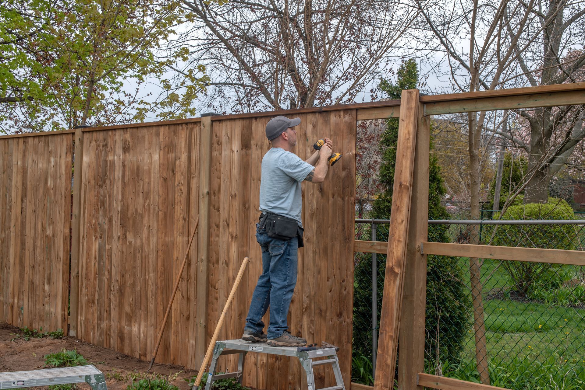 Fence contractor on a step stool drilling boards onto a new wood privacy fence.