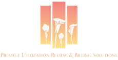 Air Plus Logo