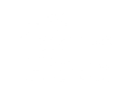 Patrician Terrace Logo