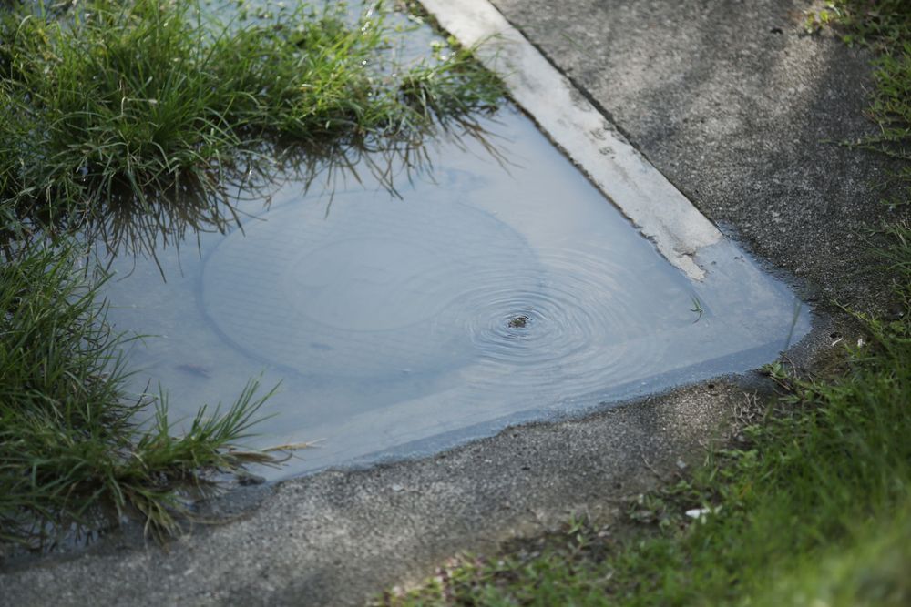 Rainwater pooling in a concrete drainage ditch beside grass and pavement