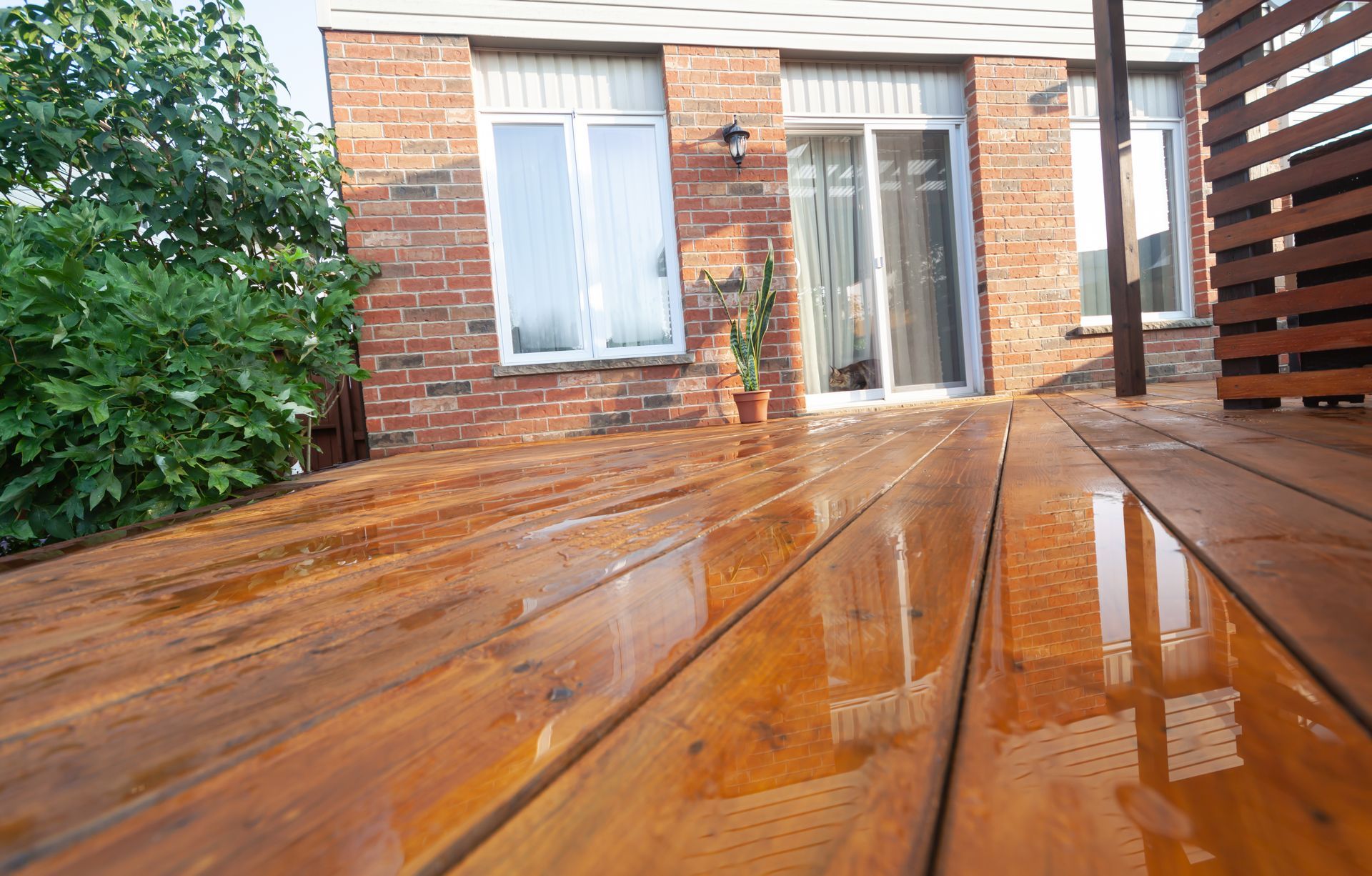 professional deck staining services in Durango, CO