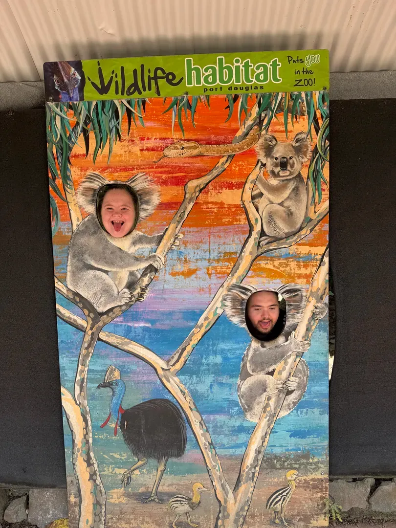 Colourful wildlife habitat scene with two face cutouts in the trees and a third opening near the bottom