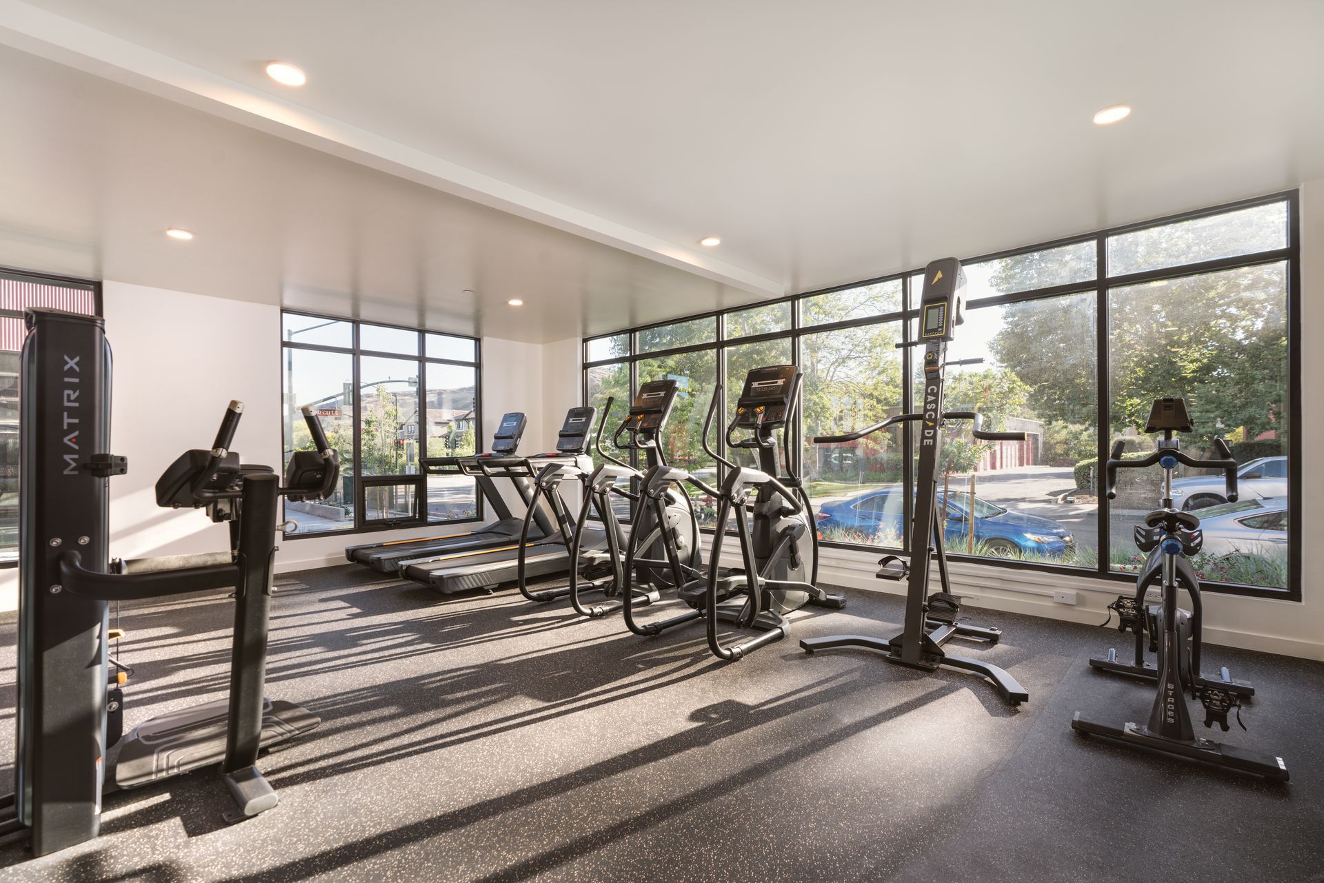 A gym with a lot of exercise equipment and a lot of windows.