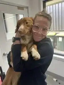Person in glasses hugging a brown-and-white dog in a bright indoor room.