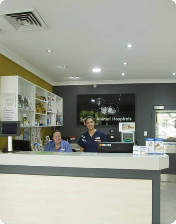 Two women standing behind a counter at a veterinary hospital