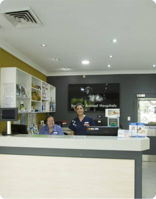 Two women standing behind a counter at a veterinary hospital