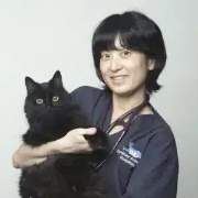 Dr Ashley Kim, Veterinarian at Sydney Bulldog Clinic Norwest