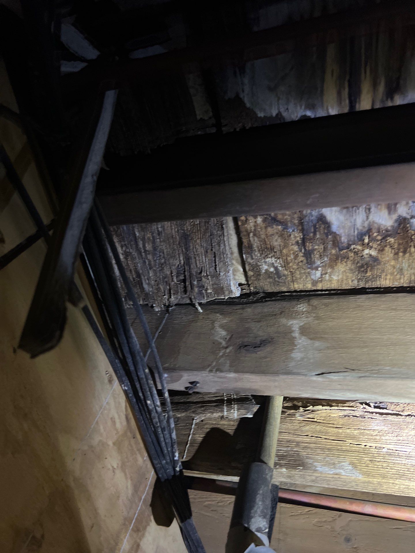 Alabama crawl space that accelerate wood rot: high humidity, soil moisture, and poor ventilation