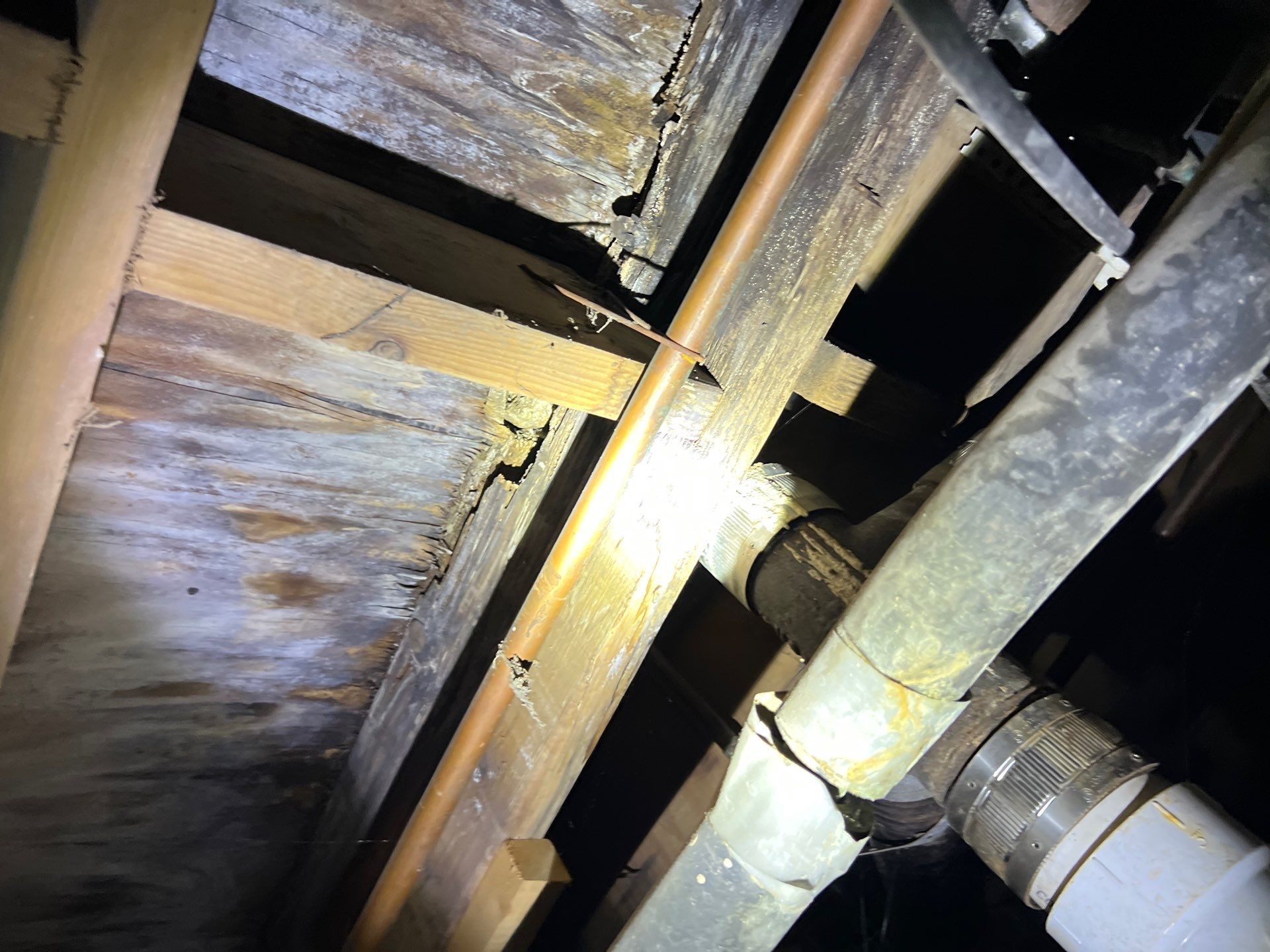 Crawl Space Wood Rot: Causes, Warning Signs, and How Encapsulation Stops It
