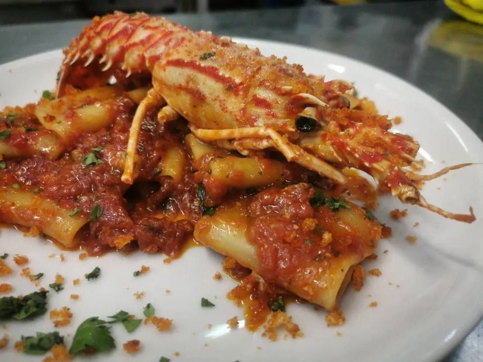 Lobster served over pasta with red tomato sauce on a white plate, garnished with herbs