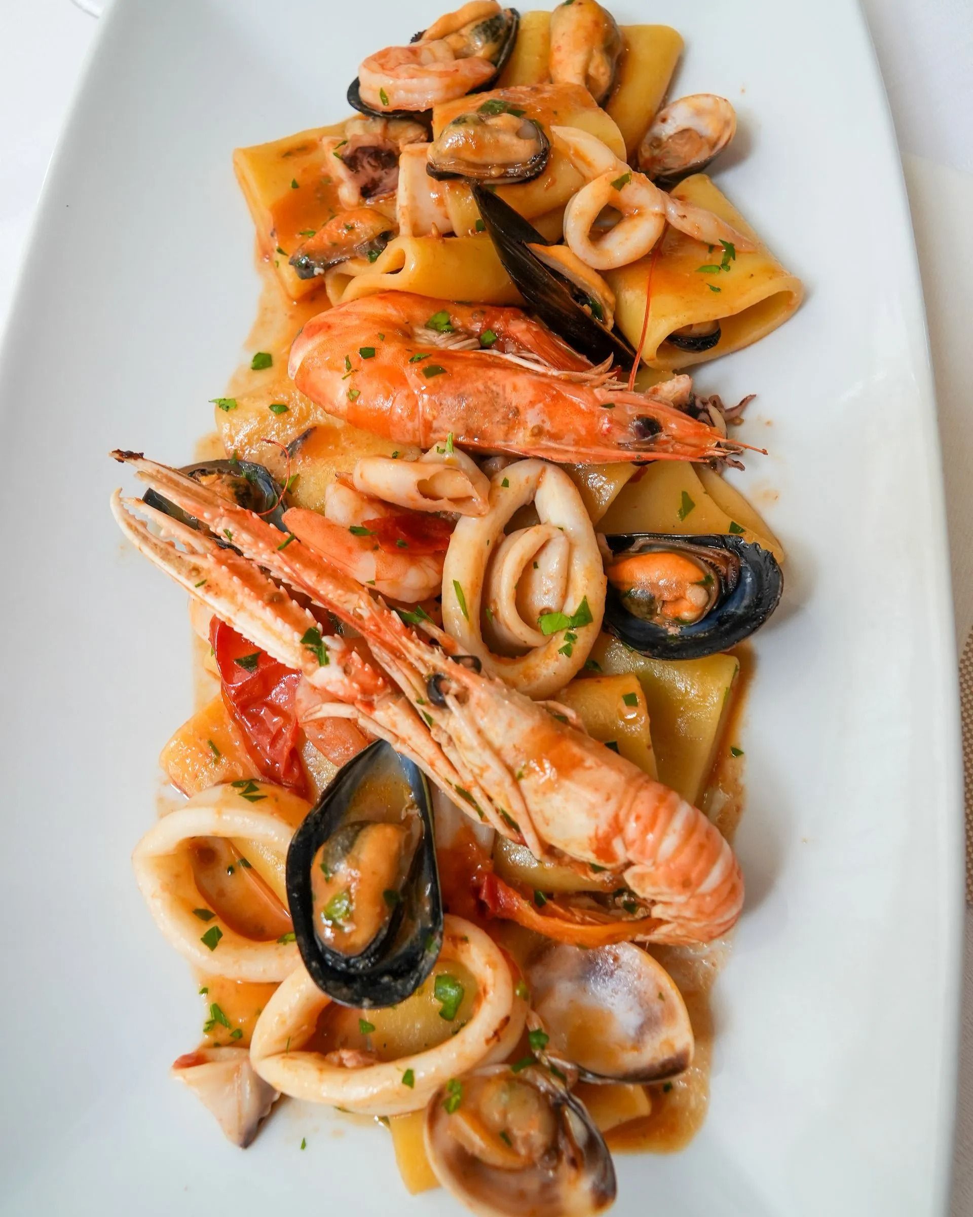 Seafood pasta with shrimp, mussels, squid, and tomato sauce on a white plate
