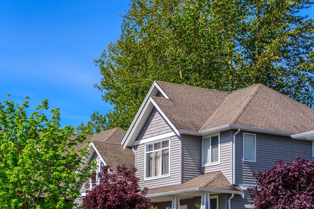 A House With Clean Roof