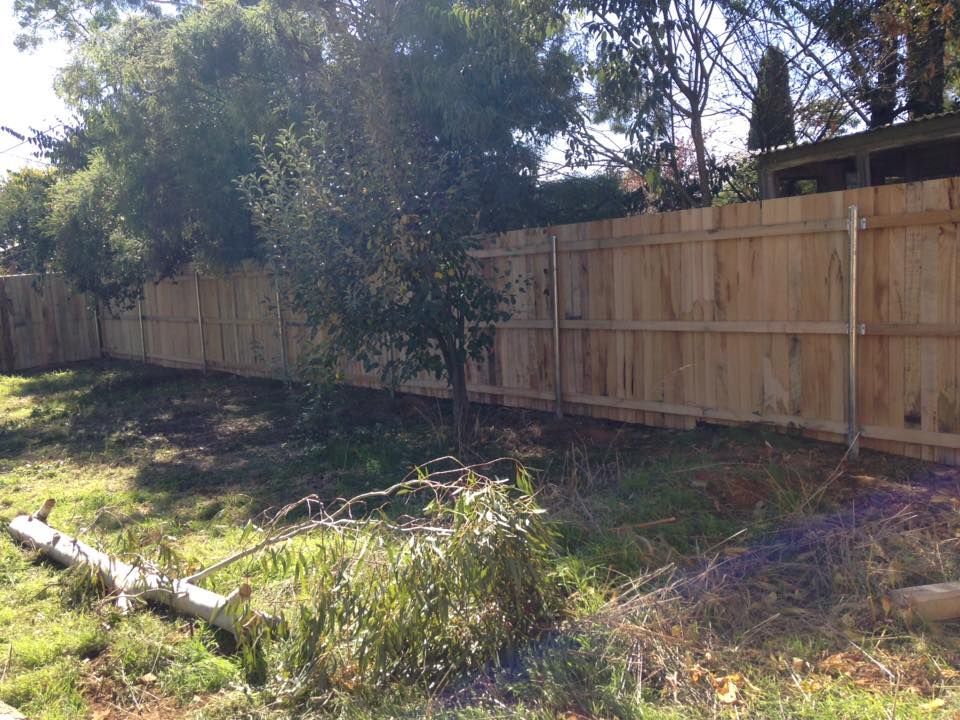 A wooden fence is surrounded by trees and grass in a backyard.