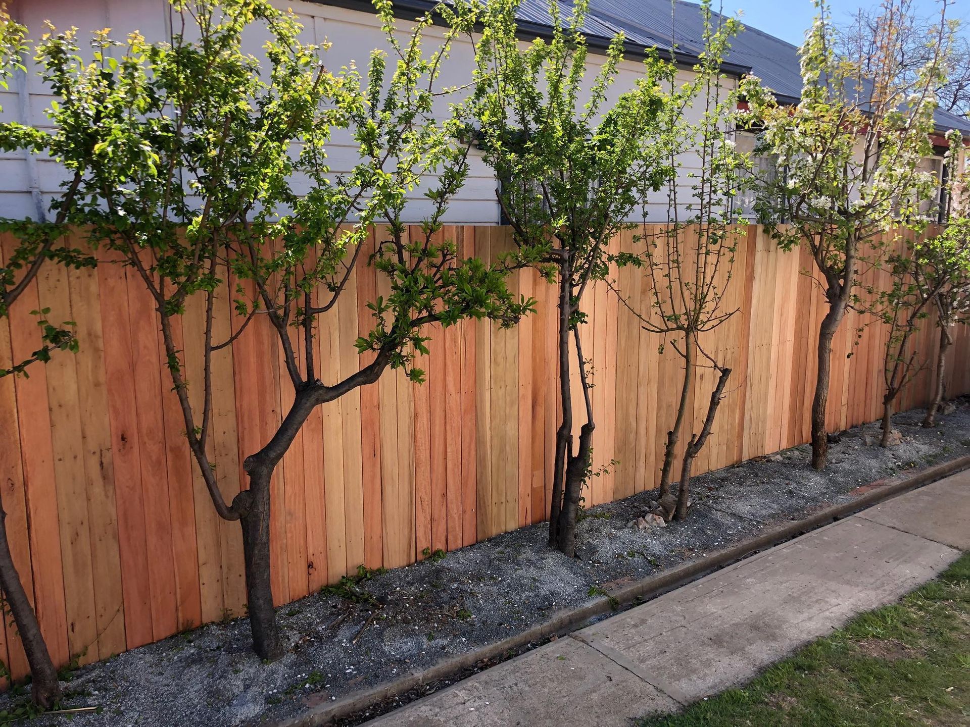 A wooden fence with trees in front of it and a house in the background.
