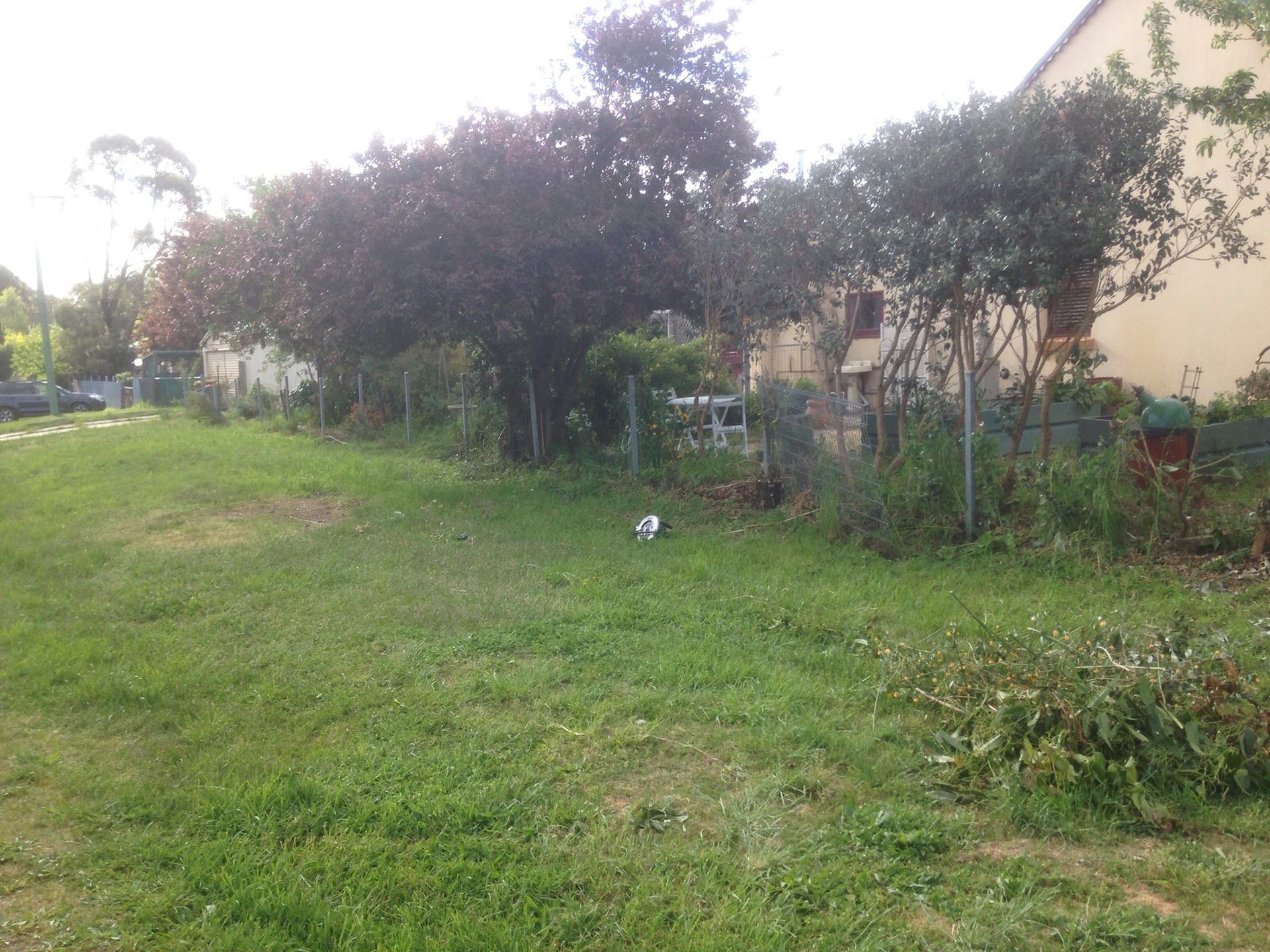 A lush green field with trees and a building in the background
