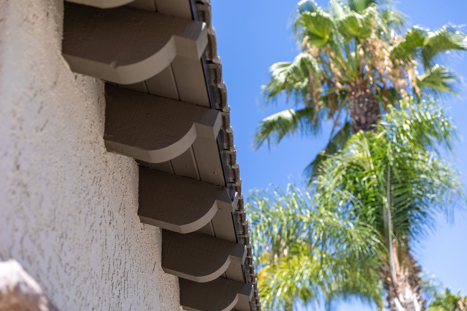 A close up of a roof with a palm tree in the background.