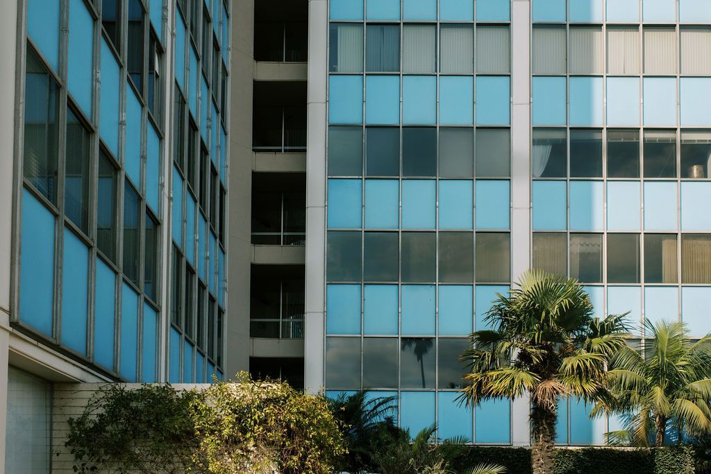 A blue building with a lot of windows and a palm tree in front of it