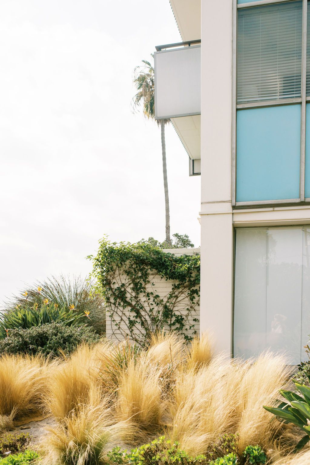 A white building with blue windows and a balcony is surrounded by tall grass and plants.