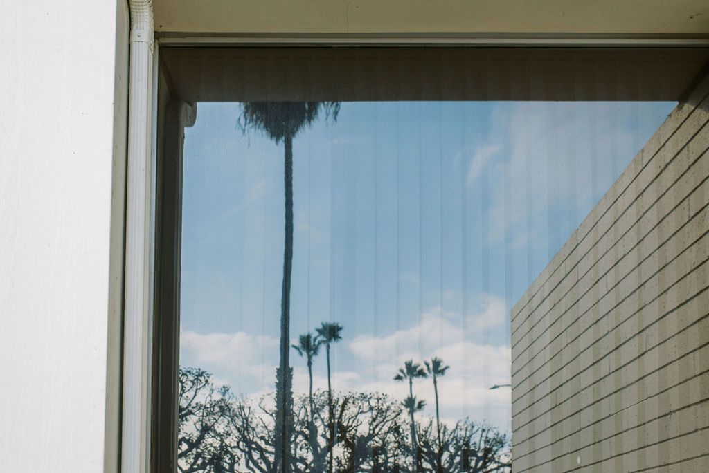 A view of palm trees through a window with a building in the background.