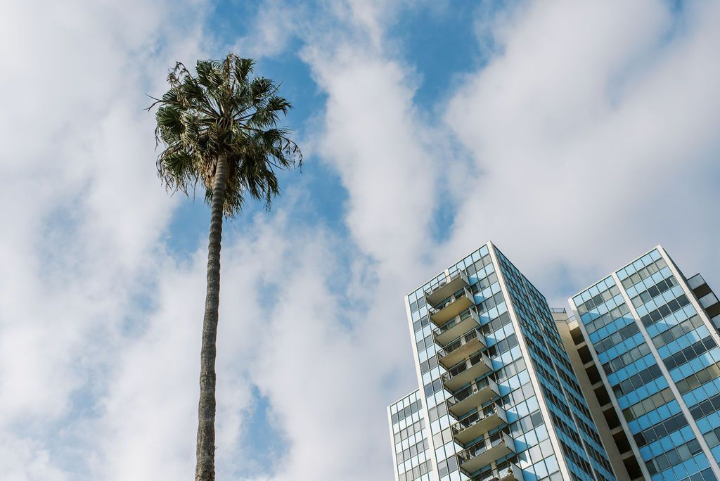 A tall building with a palm tree in front of it