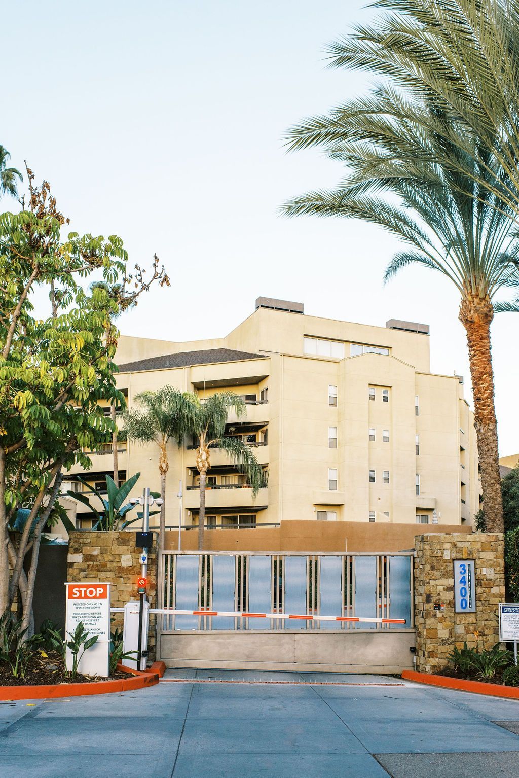 A large building with a palm tree in front of it