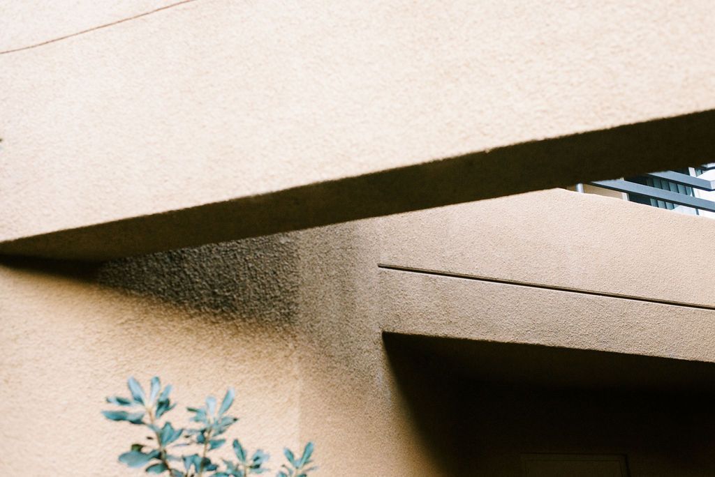 A close up of a building with a tree in the foreground