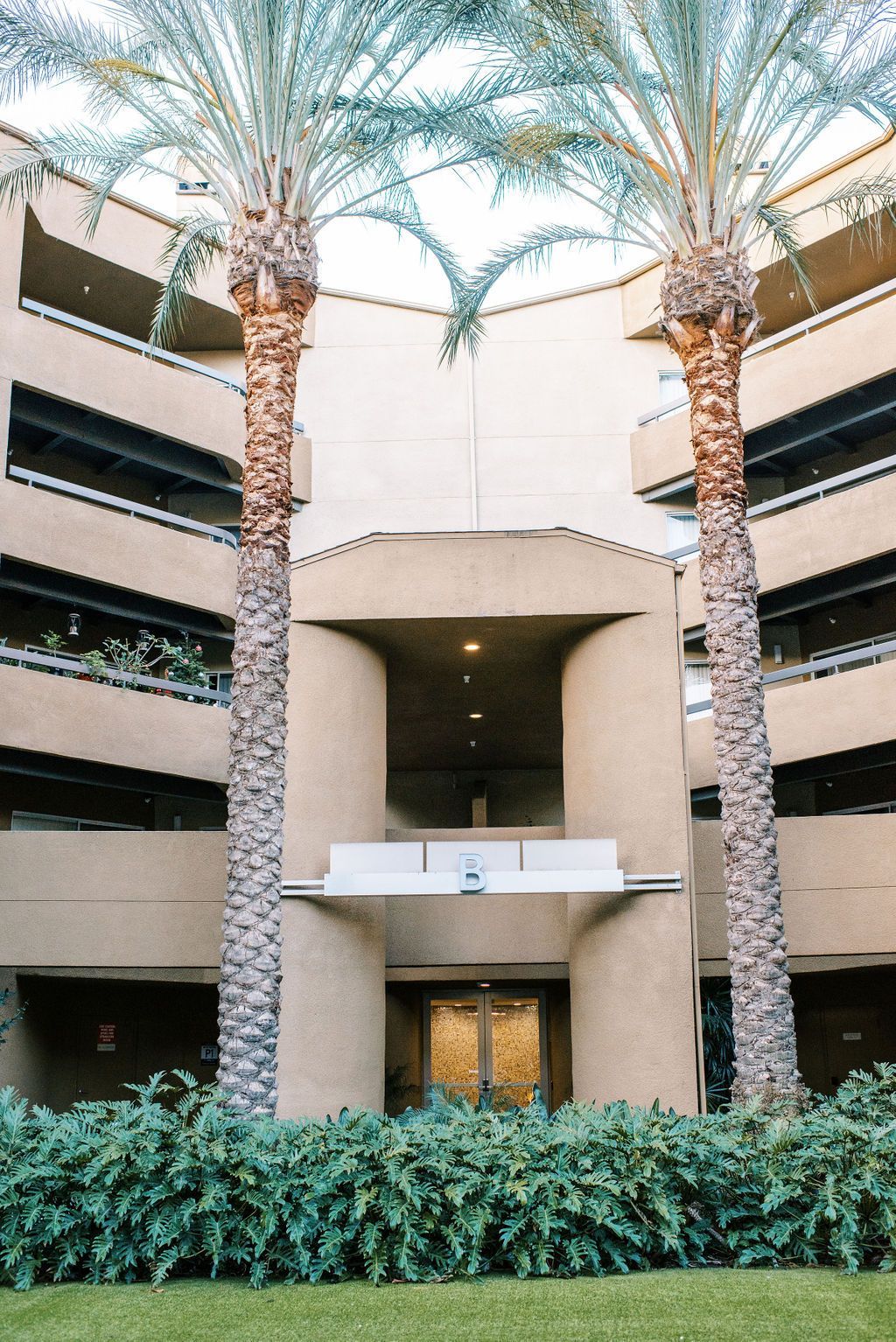 A large building with palm trees in front of it.