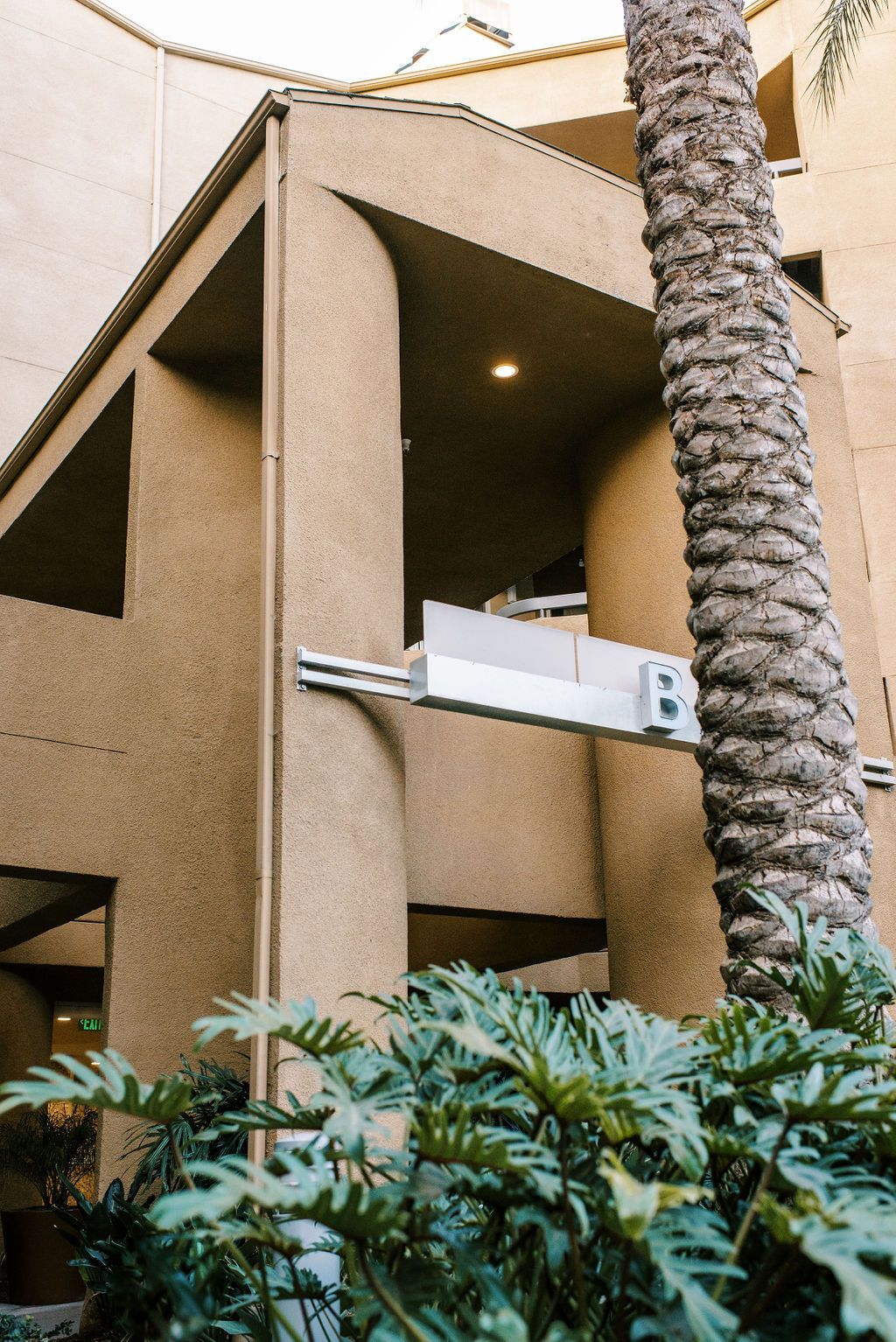 A building with a palm tree in front of it