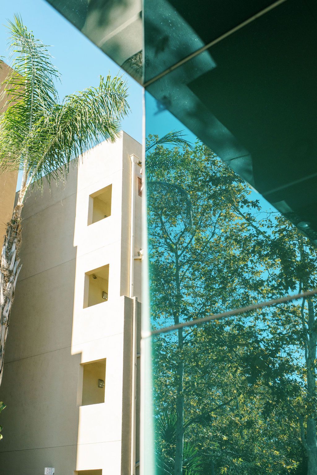 A building with a reflection of trees in the glass