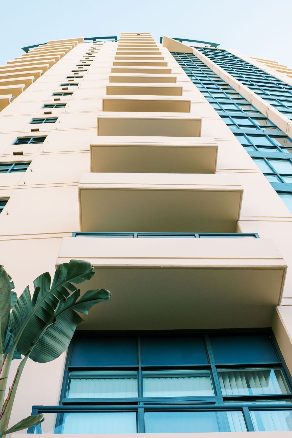 Looking up at a tall building with a palm tree in front of it.