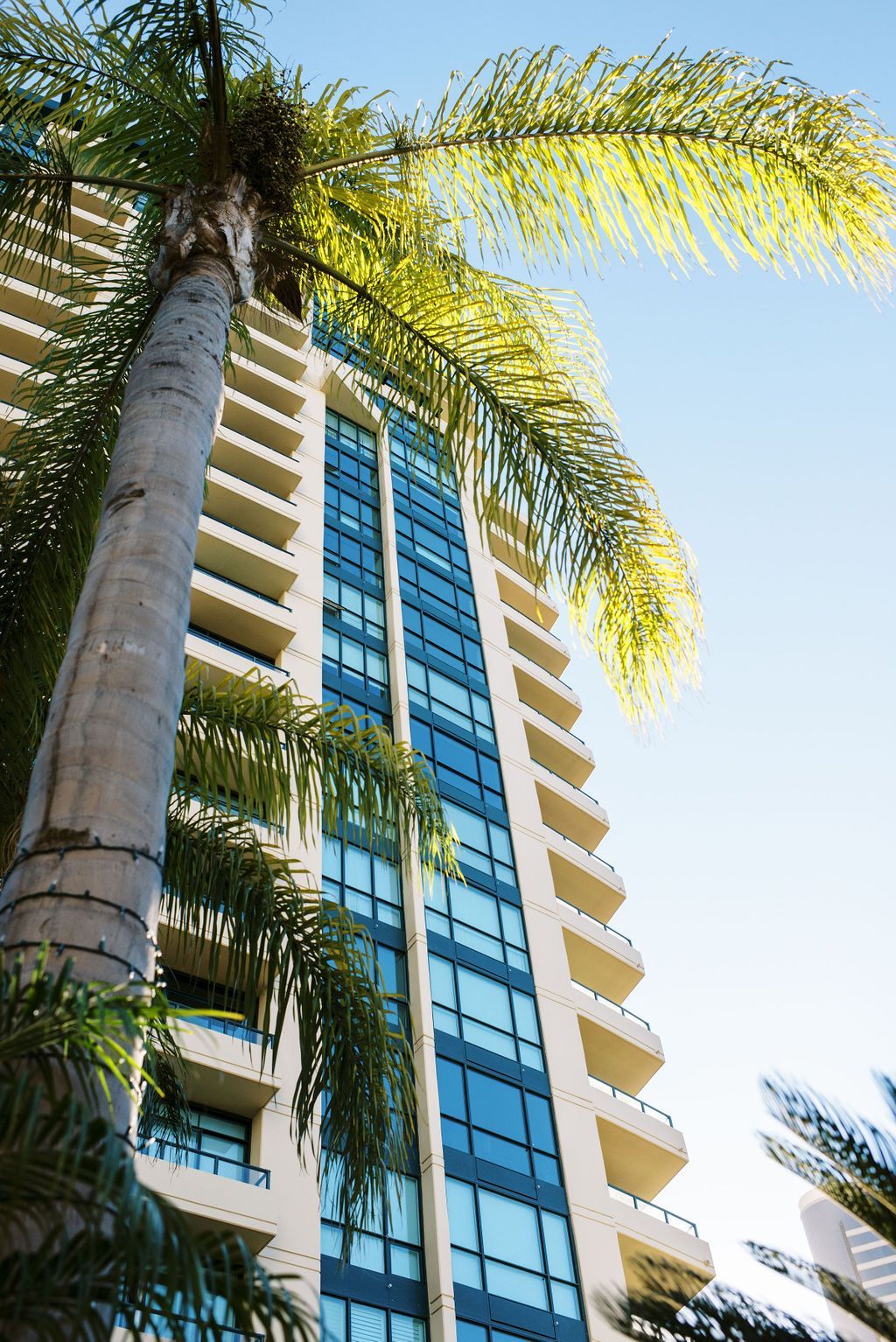 Looking up at a tall building with palm trees in front of it