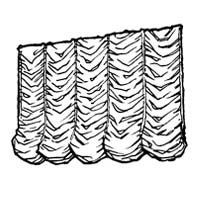 Black and white drawing of gathered fabric drapery.