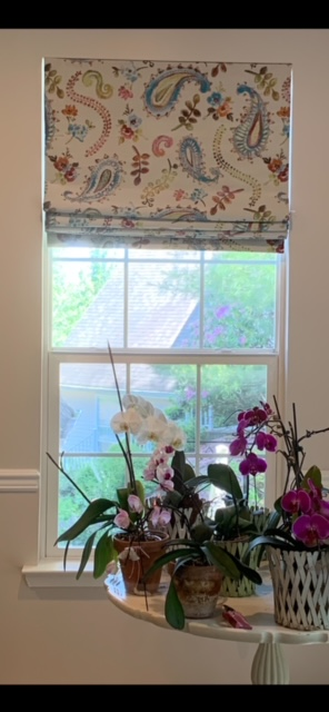 Window with patterned roman shade, orchids on table.
