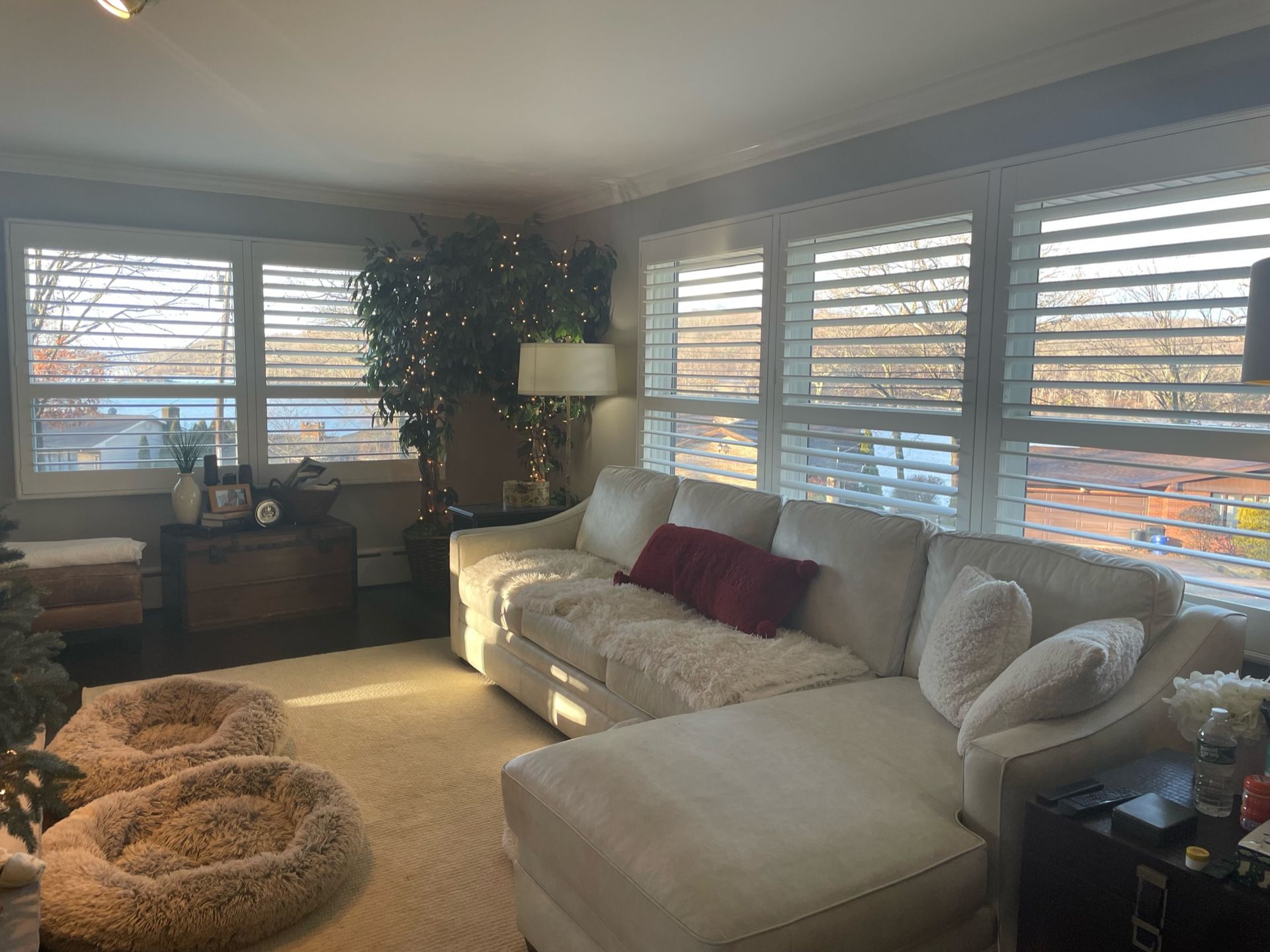 Cozy living room with white couch, shutters, and two dog beds on a rug.