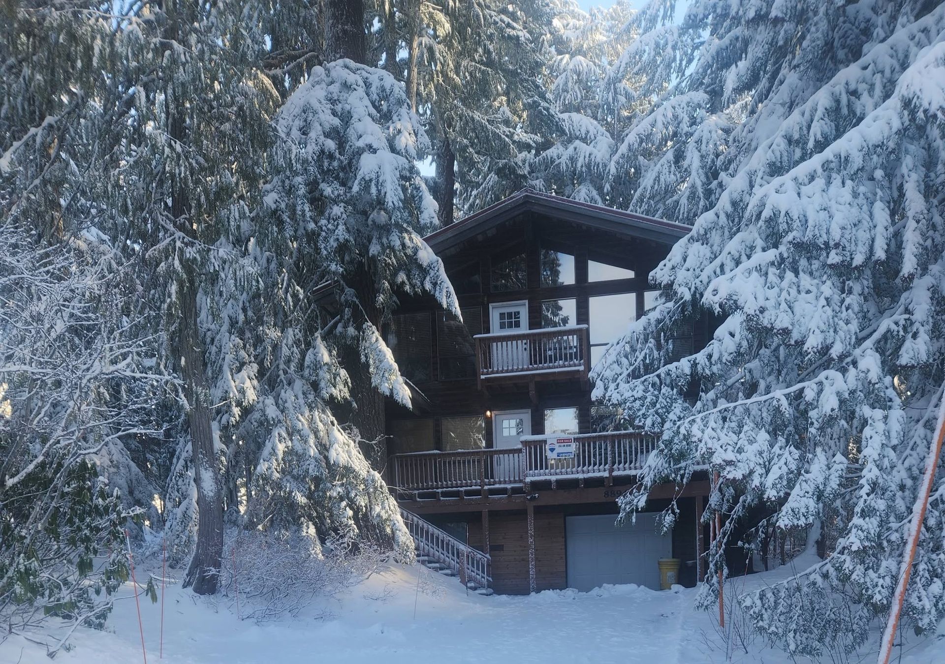 Snowy cabin nestled among snow-covered pine trees in a winter forest