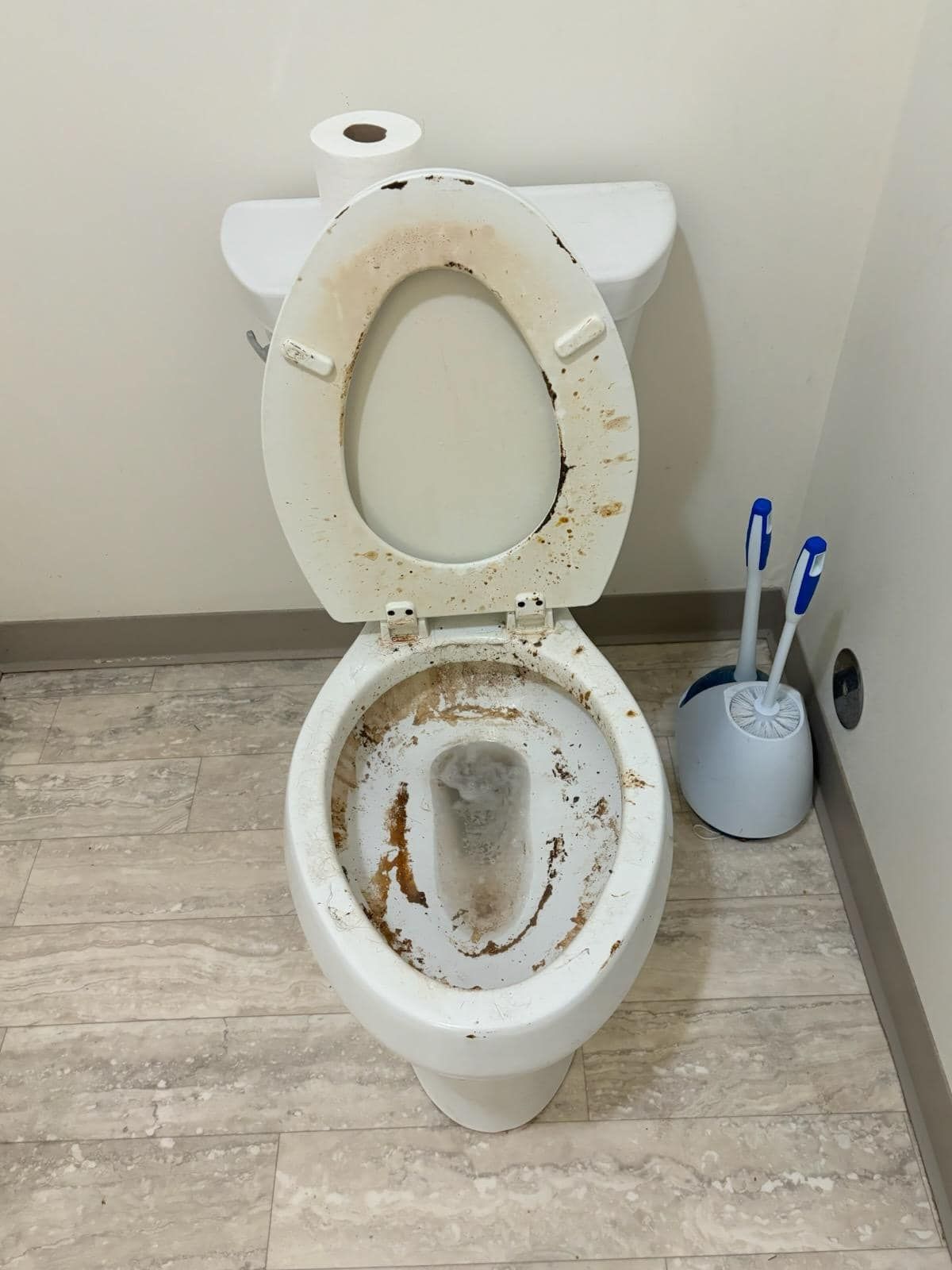 Dirty toilet with open lid, brown stains, and toilet brush in holder.