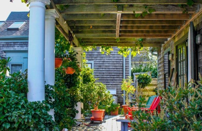 Beautiful garden under the deck featuring lush green plants and colorful flowers, creating a peaceful and serene outdoor space