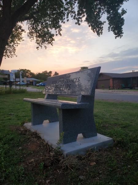 Concrete park bench at dusk beneath a tree, with buildings and sky in the background