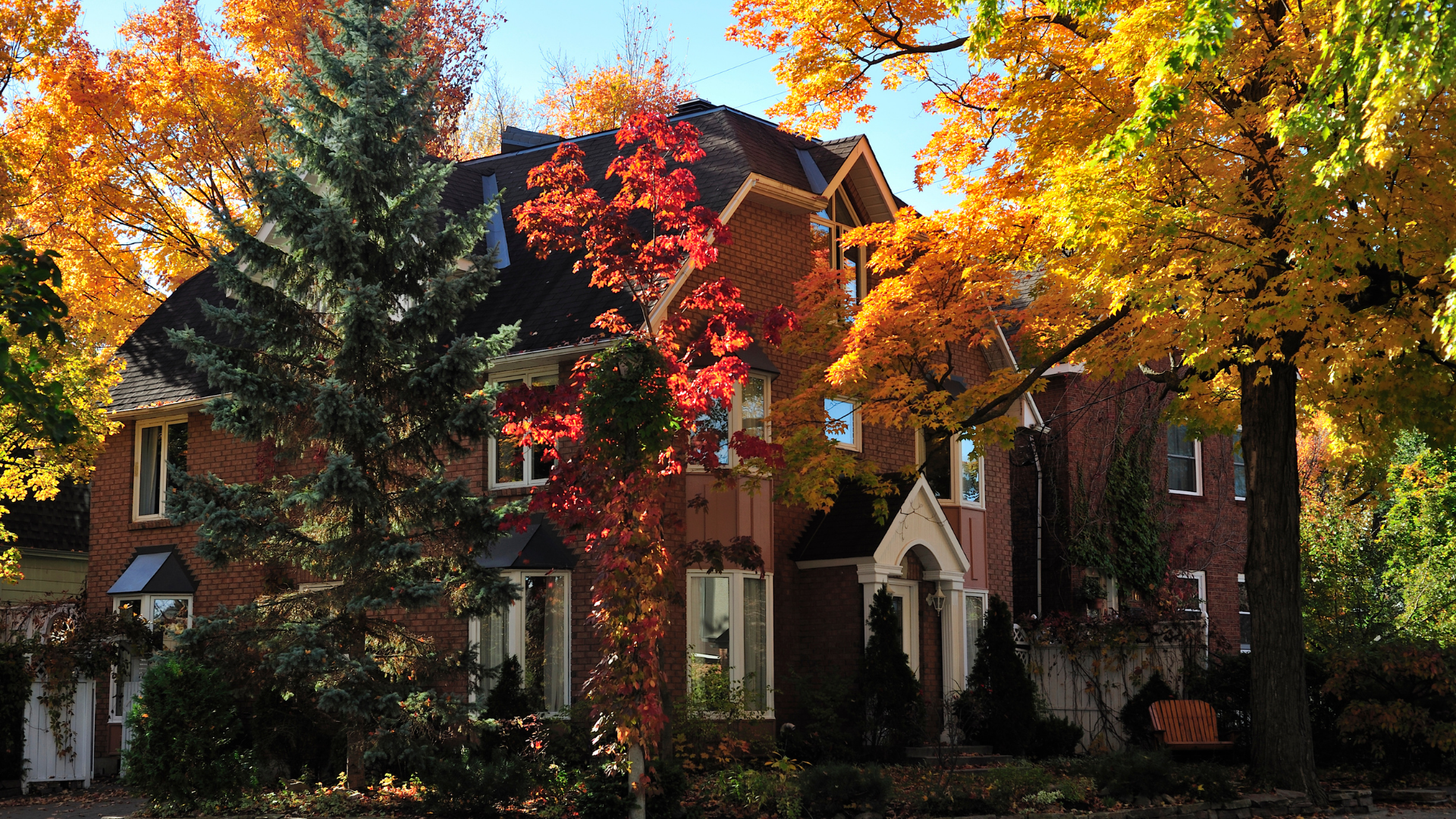 Brick house surrounded by colorful autumn trees: red, orange, and yellow foliage. Sunny day.