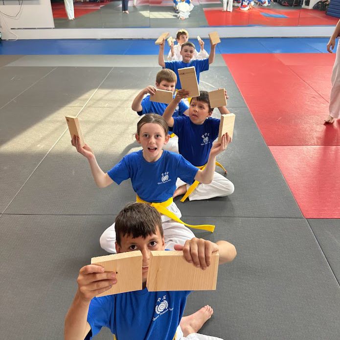 kids martial arts