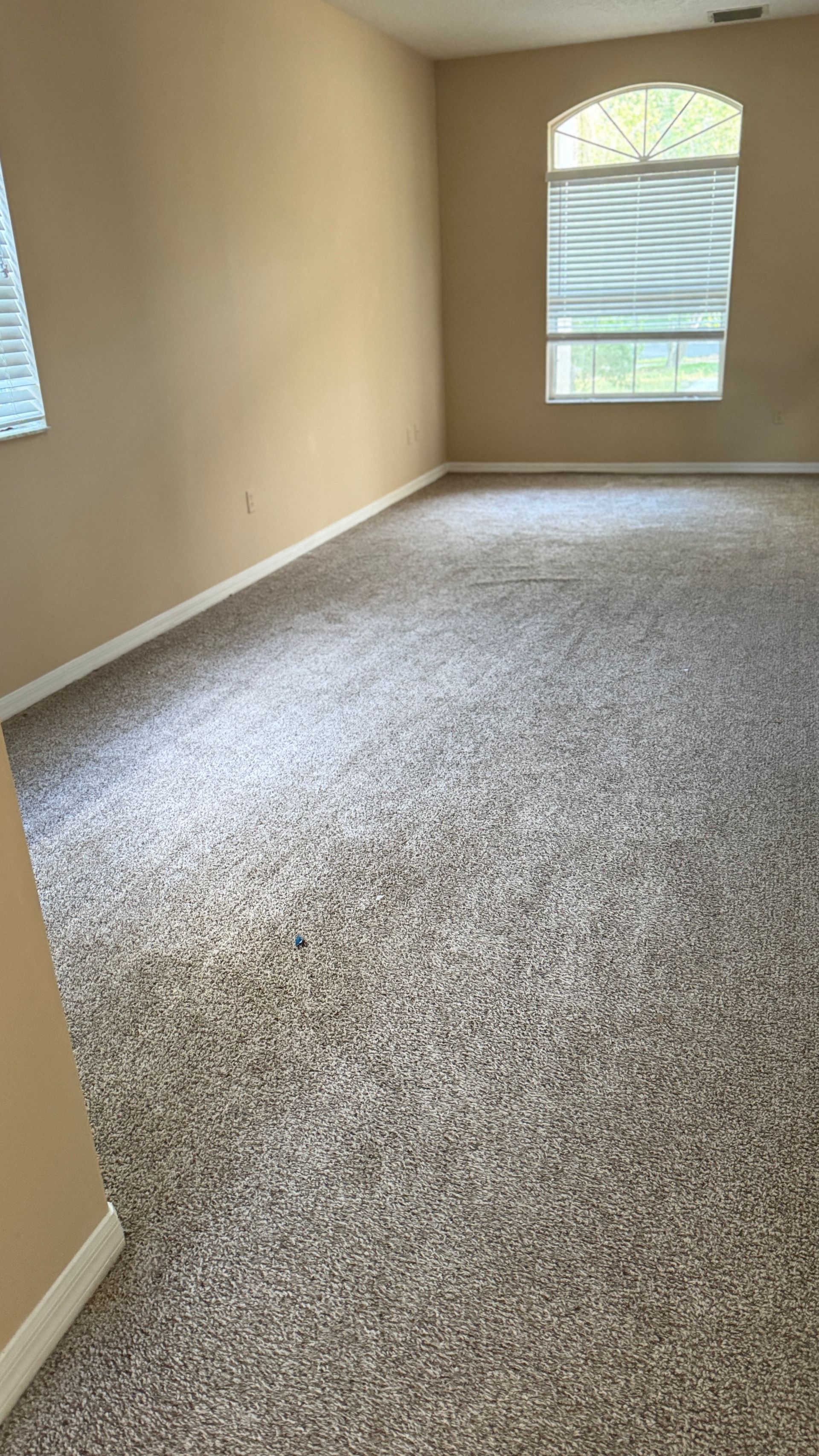 An empty living room with a carpeted floor and a window.