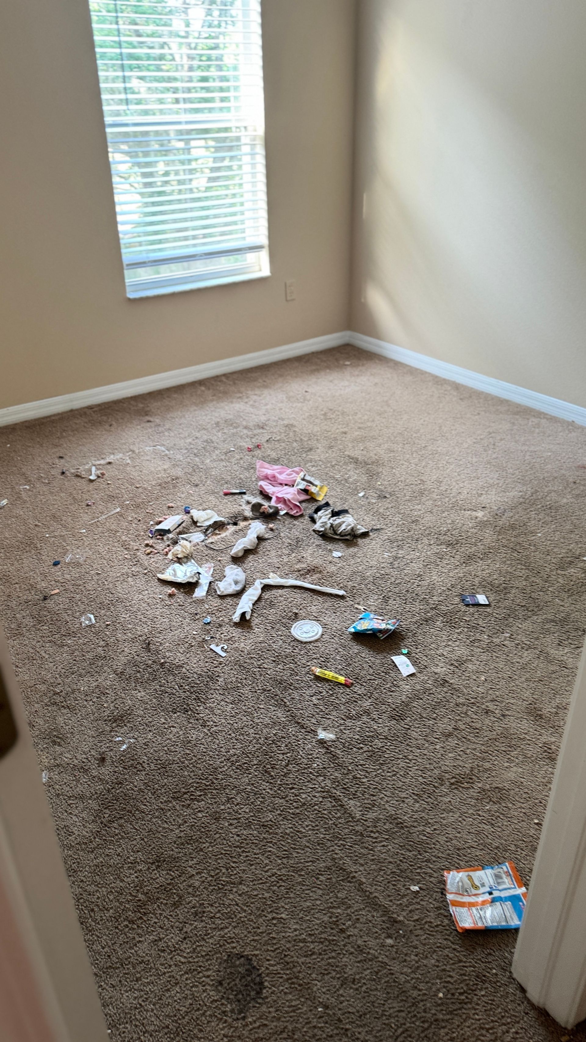 A room with a lot of trash on the floor and a window.