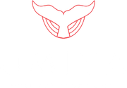 Red stylized bull head logo with angular lines, centered on a white background