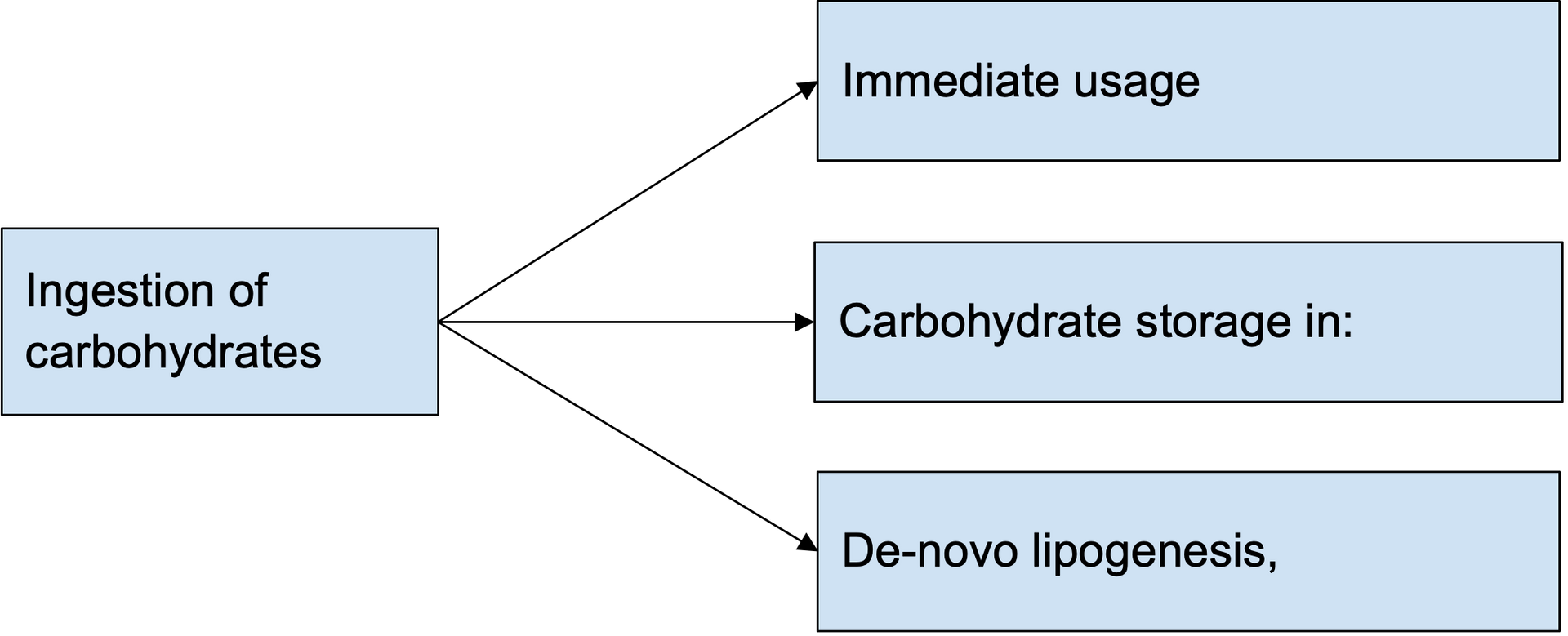 A diagram showing the process of ingestion of carbohydrates