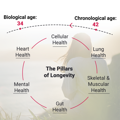 A diagram showing the pillars of longevity