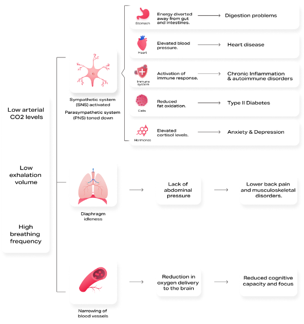 A diagram showing the different types of digestion problems