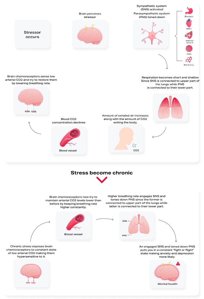 A diagram showing the stages of a chronic illness.