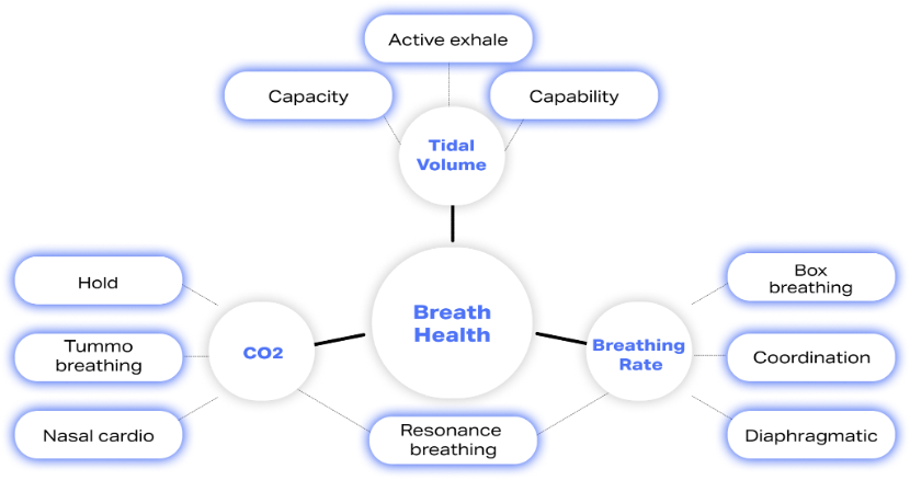 A diagram showing the various components of breath health